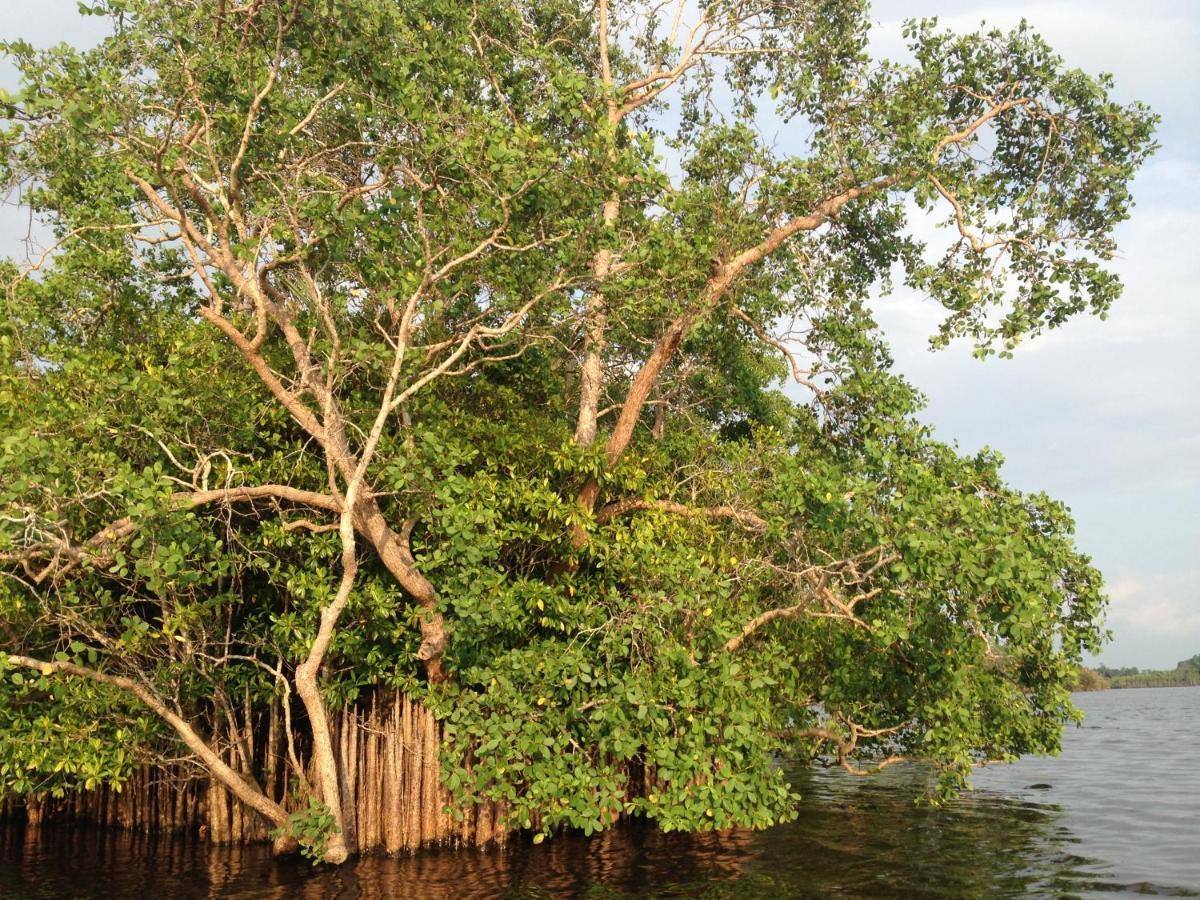 Lake Life Villa Ambalangoda (Galle) Exterior foto