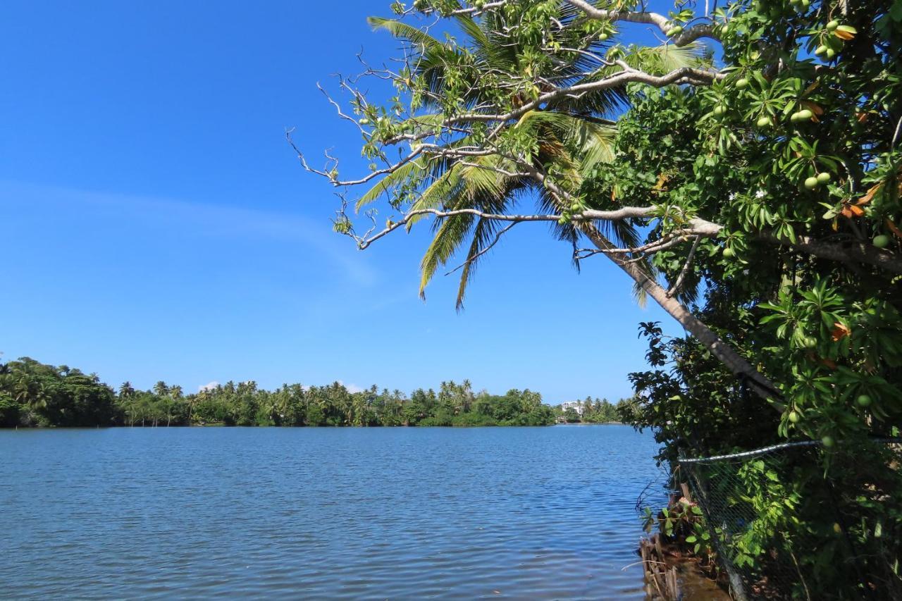 Lake Life Villa Ambalangoda (Galle) Exterior foto